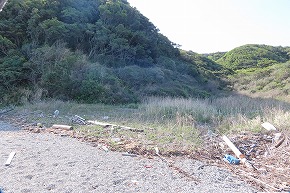 IMG_9044