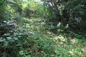 IMG_0957