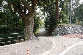 dsc09923