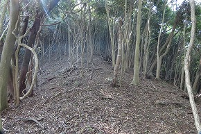IMG_9050