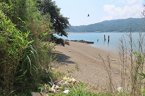 IMG_8073