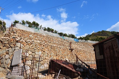 DSCN0917