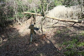 IMG_6087