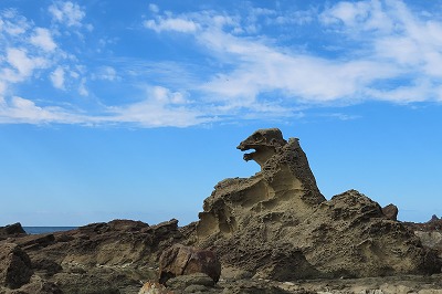 IMG_4277