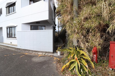 IMG_5452 (1)