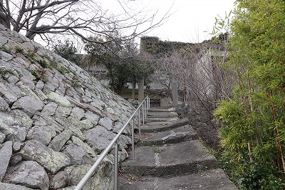 IMG_2725