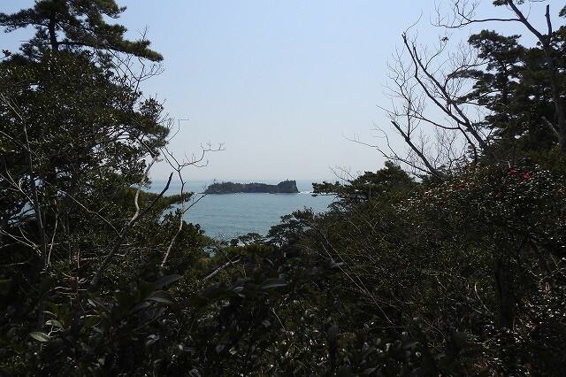 DSCN5302