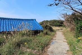 IMG_9368