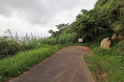 IMG_9761
