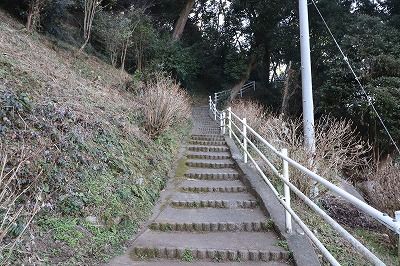 IMG_5314 (1)