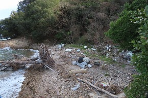 IMG_6050