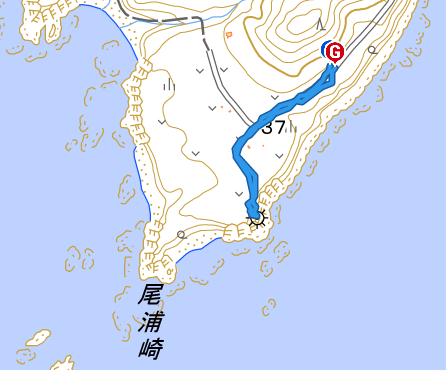 tosashimizukou