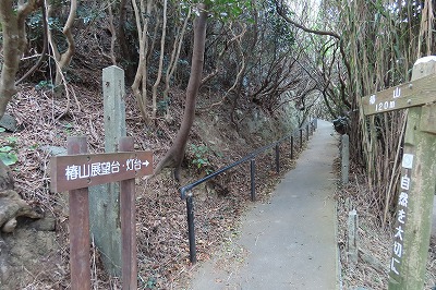 佐田岬灯台 さたみさき (2021/11/25再訪問) : プジョーで訪ねた 佐田岬灯台 さたみさき (2021/11/25再訪問) : プジョーで訪ねた