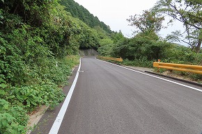 IMG_9498