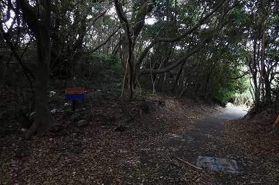 DSCN9257