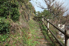 IMG_0917