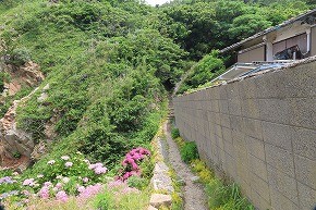 IMG_0506