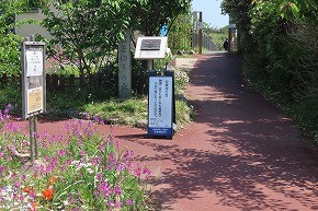 IMG_9108