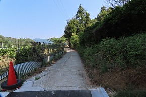 IMG_0351