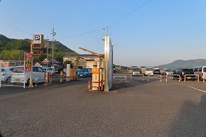 IMG_0252