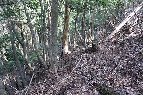 IMG_6085