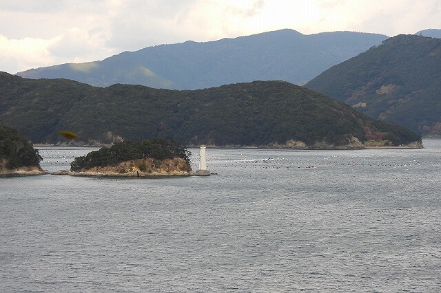 DSCN1273