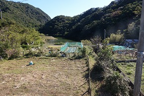 DSC00905