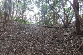 IMG_9421