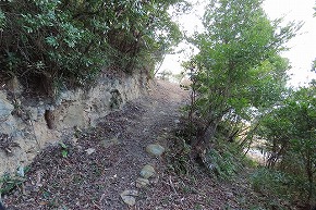 IMG_5928