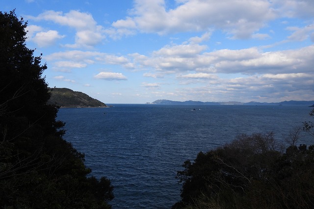 DSCN1241