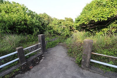 IMG_0127