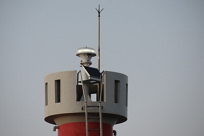 IMG_4365