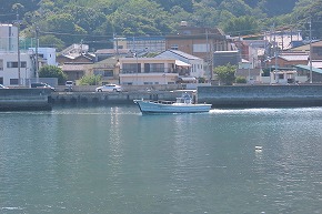 IMG_8110