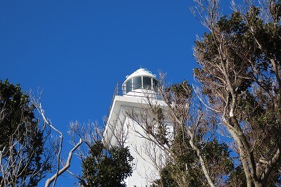 IMG_0353