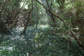 IMG_8082