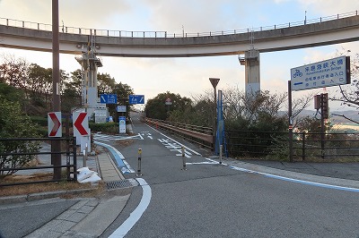 IMG_9945