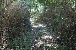 IMG_8071
