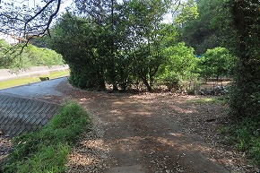 IMG_0355