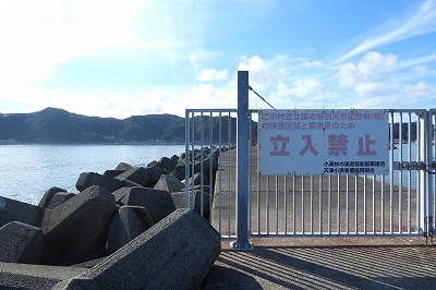 DSCN3361