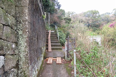 IMG_5530