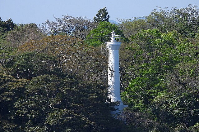 DSCN6625