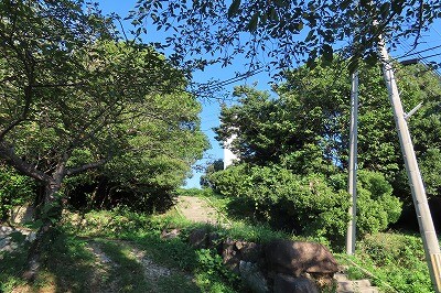 IMG_0871