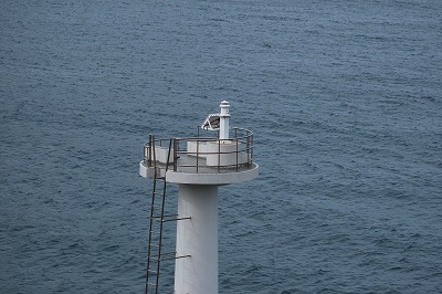 IMG_7768