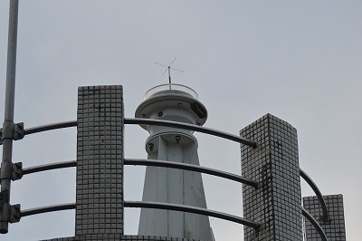 IMG_5524