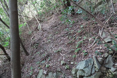 IMG_3377