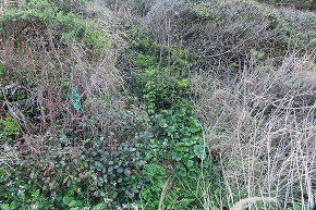 IMG_9078