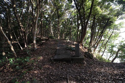 IMG_8546