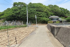 IMG_0419