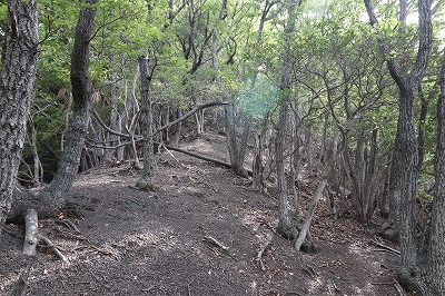IMG_7185