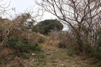 IMG_5426